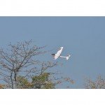 Volantex Ranger 600 RC Glider Plane 3-Channel 600mm Brushed with Gyro EPP (Ready to Fly) - V761-2